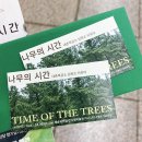 도예 건축사사무소 | 예술의전당 전시 추천 &lt;나무의 시간&gt; 관람 후기
