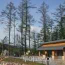 국립화천숲속야영장 이미지