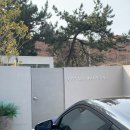 고사리맨션이 | 남해 감성숙소 고사리맨션 2호 후기｜2인 독채 숙소 추천