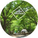 소백산 남천야영장2 | 소백산자연휴양림 남천야영장