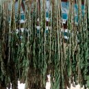 대종목욕탕 이미지