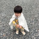 봉포레이크글램핑&오토캠핑장 | 고성캠핑, 봉포레이크글램핑오토캠핑장