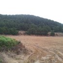 동광리-2 이미지