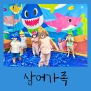 파랑숲어린이집 이미지