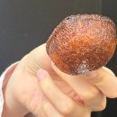 무공수훈자회 | 마곡 카페 버터떡 맛집 top2 추천 내돈내산 솔직 비교 후기