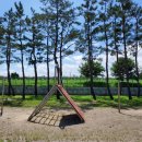 강현초등학교 이미지