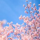 광주시립합창단 기획연주회<합창을 화합의 장으로, 합창을 화합의 도구로> 이미지