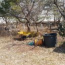 근덕초 궁촌분교장 이미지