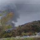 양계장닭한마리 이미지