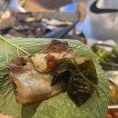 우다다애견 이미지