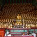 완도 신흥사 목조약사여래좌상 이미지