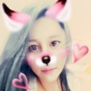 오 CAR 이미지