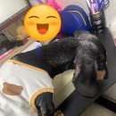 풍선공방 네이버블로그
