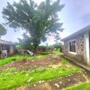 창천리-1 이미지