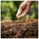 동부농약종묘사 이미지