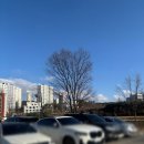 경기 화성 남양] 글루토 재방문 후기 | 가성비 생면파스타 화덕피자 찐맛집 (명란오일파스타,디아볼라피자)