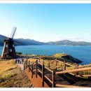 바람의언덕 이미지