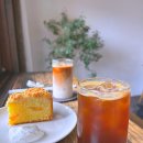 organicmoga 대구 대봉동 오가닉모가, 김광석거리 근처 강아지동반 웨이팅 케이크 카페 후기