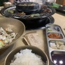 왕갈비둥지