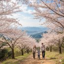 후도경로당 | 아이와 함께 떠나는 개화산 등산 🏔️ 처음이라면 이곳!