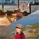 금평1길 | 통영 여행 뚜벅이도 행복한 사량도 일주버스 꿀팁 통영카페 옥빛바다