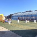 몽글몽글 | 유아 딸기체험 추천! 몽글몽글팜 내돈내산 후기