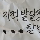 (장애인단체)지적발달장애인복지협회_2 | [단독](사)한국지적발달장애인복지협회장 L씨, “선거불법행위”의혹 증폭