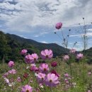 숲터의 새로운 가족을 소개합니다~ 이미지