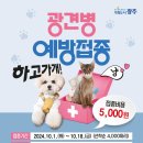 16 이미지