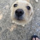 초가민박 이미지