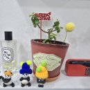 지(G)헤어 이미지