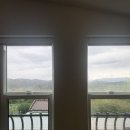 피치203-3 이미지