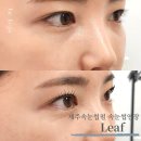 탐나는뷰티샵 | 제주속눈썹펌 & 연장 노형동 뷰티샵 “리프” 속눈썹펌 후기