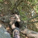 샛터경로당 이미지