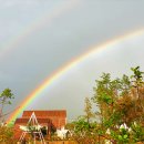 힘차게농장 이미지