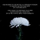 다올보청기 청각언어센터 네이버블로그