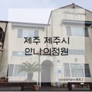 솔방울민박 | 제주 제주시 함덕해수욕장 근처 마음에 들었던 숙소 [안나의정원]