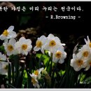 행복이있는곳에