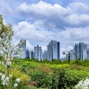 부천중앙공원 이미지