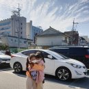 회산백련지 관리사무소 이미지