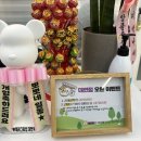 패러그린 대연점 이미지