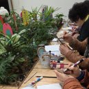 하안노인종합복지관 | 광명시하안노인종합복지관 치유정원사 프로그램개발 5. 오감치유정원 '색깔'