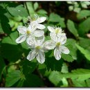 나도나도 이미지