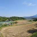 봉곡마스타골프클럽 이미지