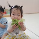 또복이도시락 이미지