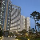 지에스(GS)25강릉로얄점 | 강릉 신라 모노그램 레지던스 오션뷰 숙박 후기