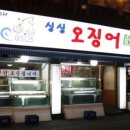 싱싱오징어바다 이미지