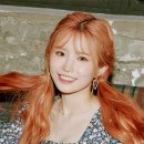 나인컨셉 이미지