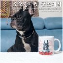 오랑마켓