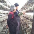 백여농장 이미지